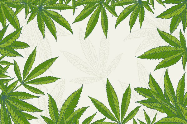 Conseils Cannabidiol